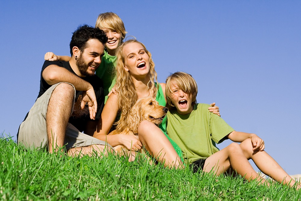 Denver Small Engine Repair Estimate 